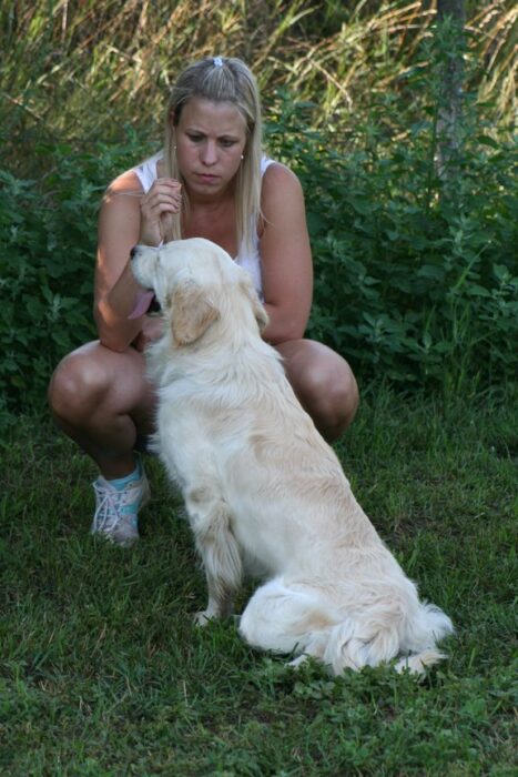 Szitter szolgáltatás